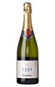 Codorniu Brut 1551