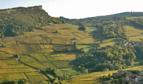 Bourgogne Appellation Mâcon