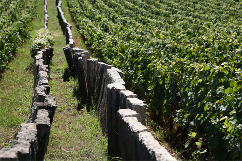 Appellation Côte de Nuits-Villages