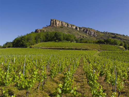 Appellation Pouilly-Fuissé